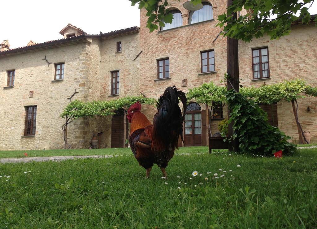 Hotel Residenza D'Epoca Il Biribino Città di Castello Exterior foto
